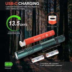 Acebeam Pokelit 2AA Forest Green