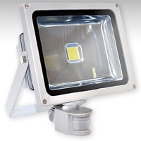 ASD СДО-2Д-30 прожектор светодиодный с датчиком движения