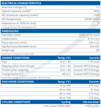 Аккумулятор NiCd ARTS Energy VRE Cs 1800