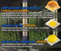 Skilhunt H300R RC Black High CRI 2500Lm
